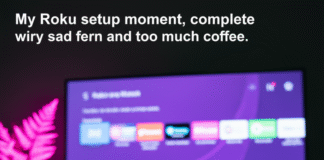 Fire Stick vs Roku: Which Streaming Stick Should You Buy? Roku remote on a coffee mug, TV showing Roku home screen, neon fern.